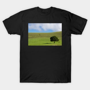 one lone tree T-Shirt